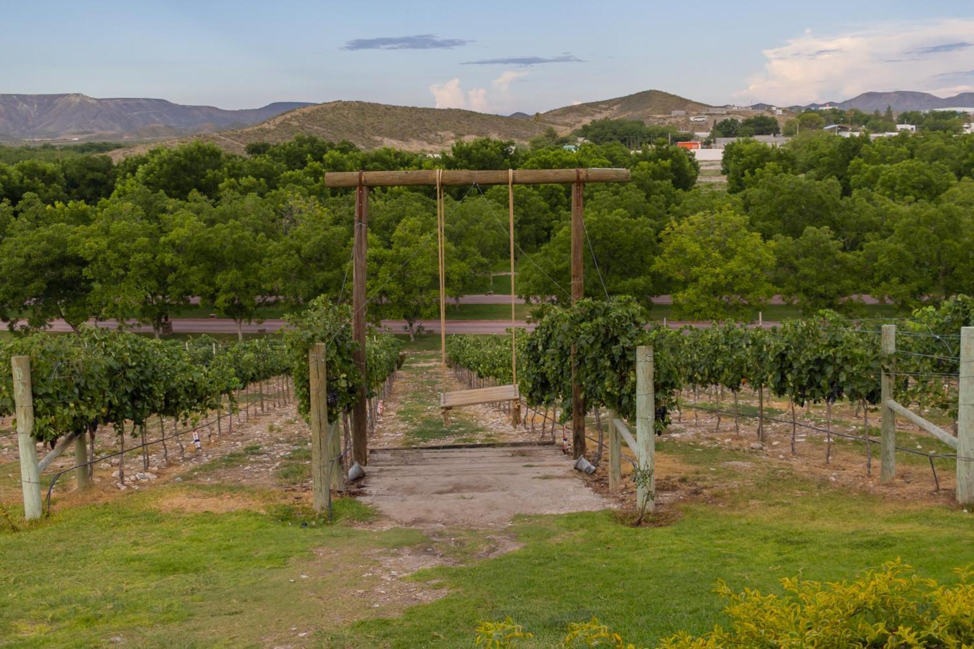 Hotel Vinicola Parvada By Lumina Parras de la Fuente Eksteriør billede