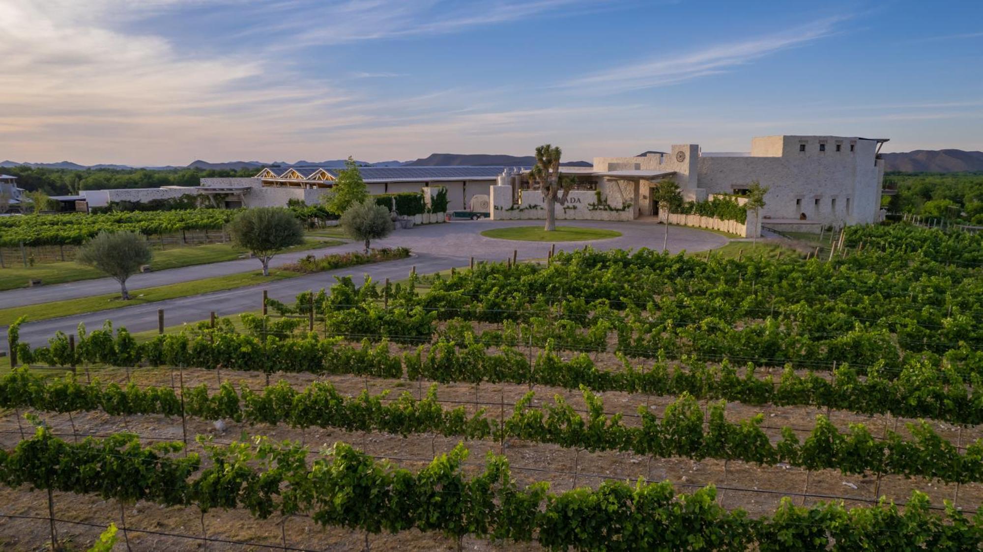 Hotel Vinicola Parvada By Lumina Parras de la Fuente Eksteriør billede